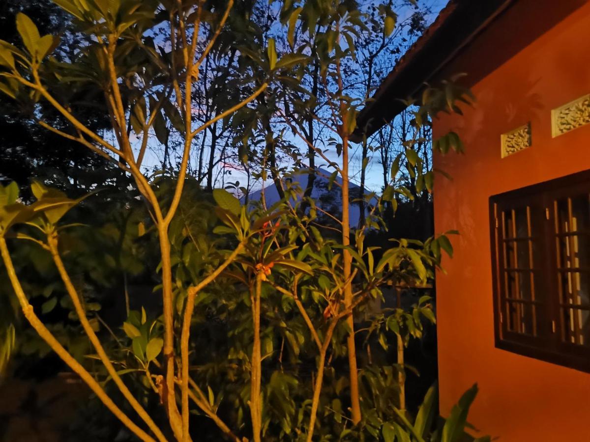 Rose Valley Villa Amed Exterior foto
